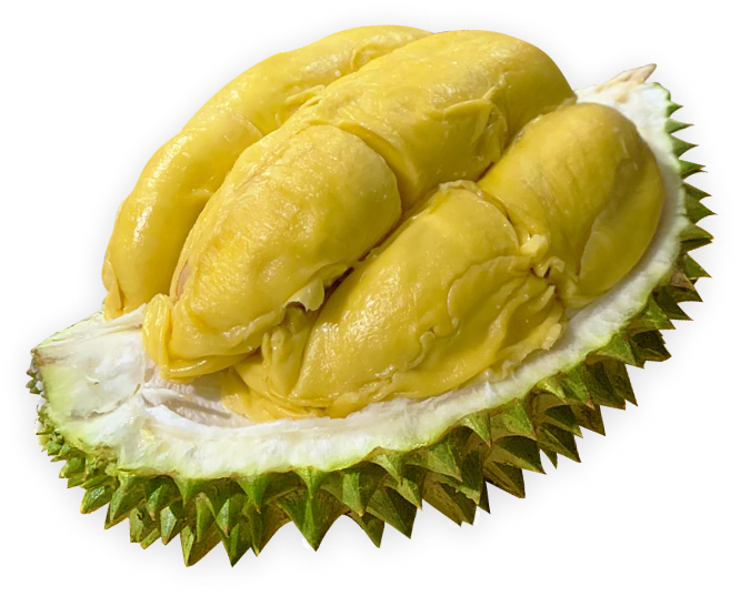 Musang King Durian