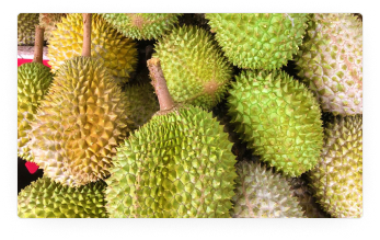 Musang King Durian Whole Fruit