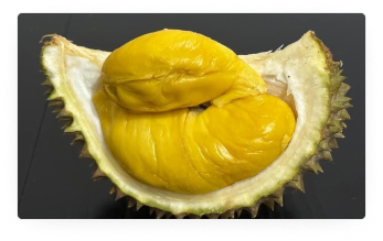 Musang King Durian Pulp